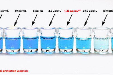 Test Elisa - données informatives